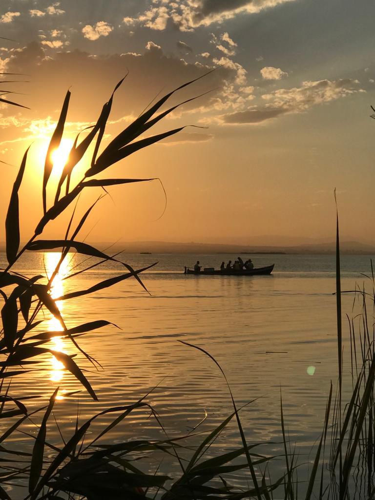 Horarios de paseos en barca en la Albufera de Valencia